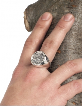 Large Mens Owl of Wisdom (wise owl) Greek coin ring